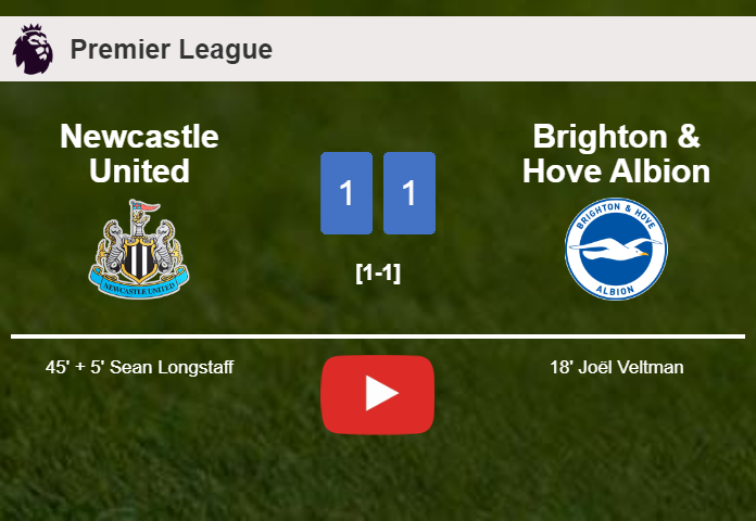 Newcastle United and Brighton & Hove Albion draw 1-1 on Saturday. HIGHLIGHTS
